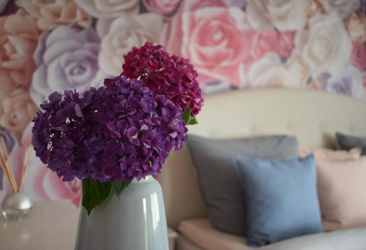 Apartment Rose Sasbachwalden Εξωτερικό φωτογραφία